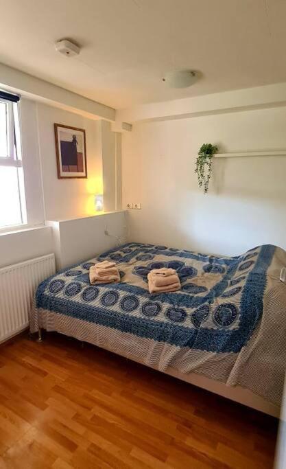 Lovely One Bedroom Apartment In Hafnarfjörður Eksteriør bilde